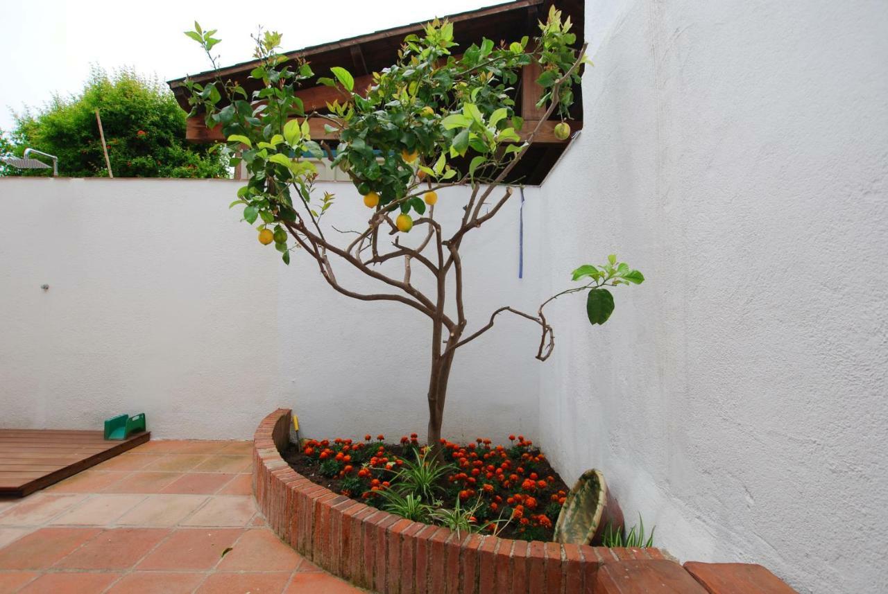 The Painter'S Home Vilassar De Mar Exterior foto
